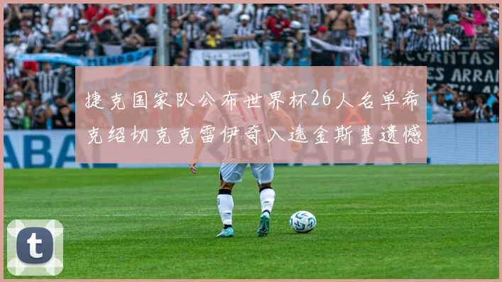 捷克国家队公布世界杯26人名单希克绍切克克雷伊奇入选金斯基遗憾落选