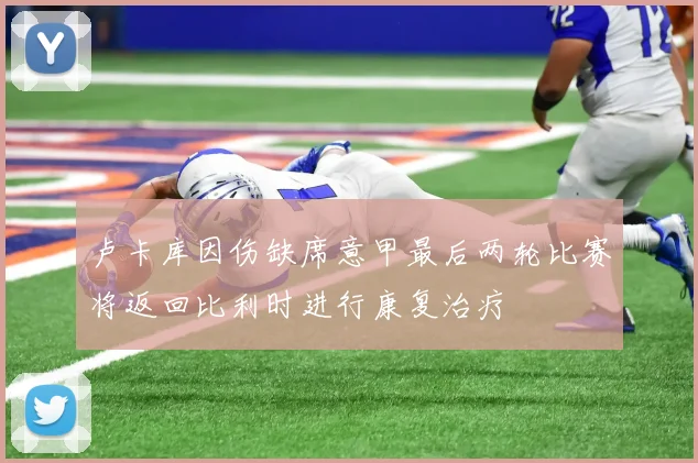 卢卡库因伤缺席意甲最后两轮比赛将返回比利时进行康复治疗
